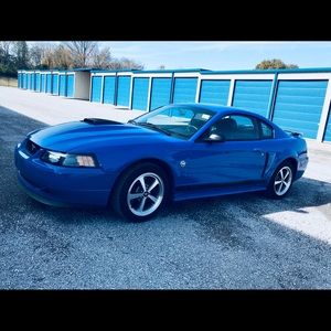 Meet your Posher, Donna